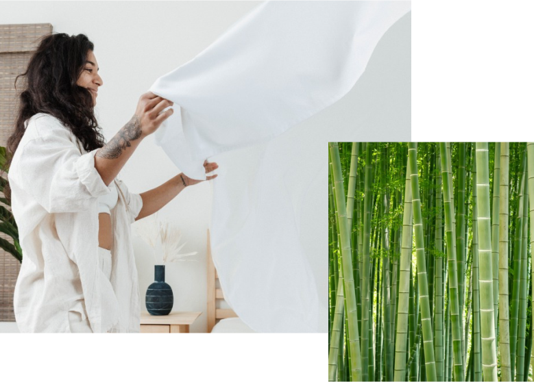 Bamboo